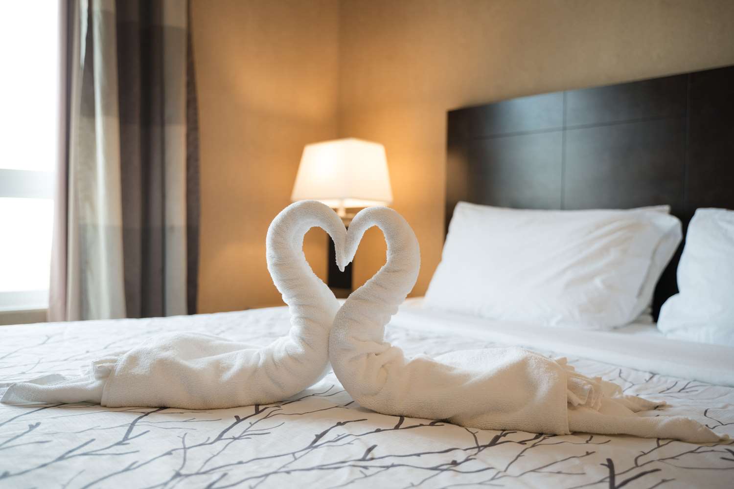 Best Western Plus South Edmonton Inn and Suites 6/32
