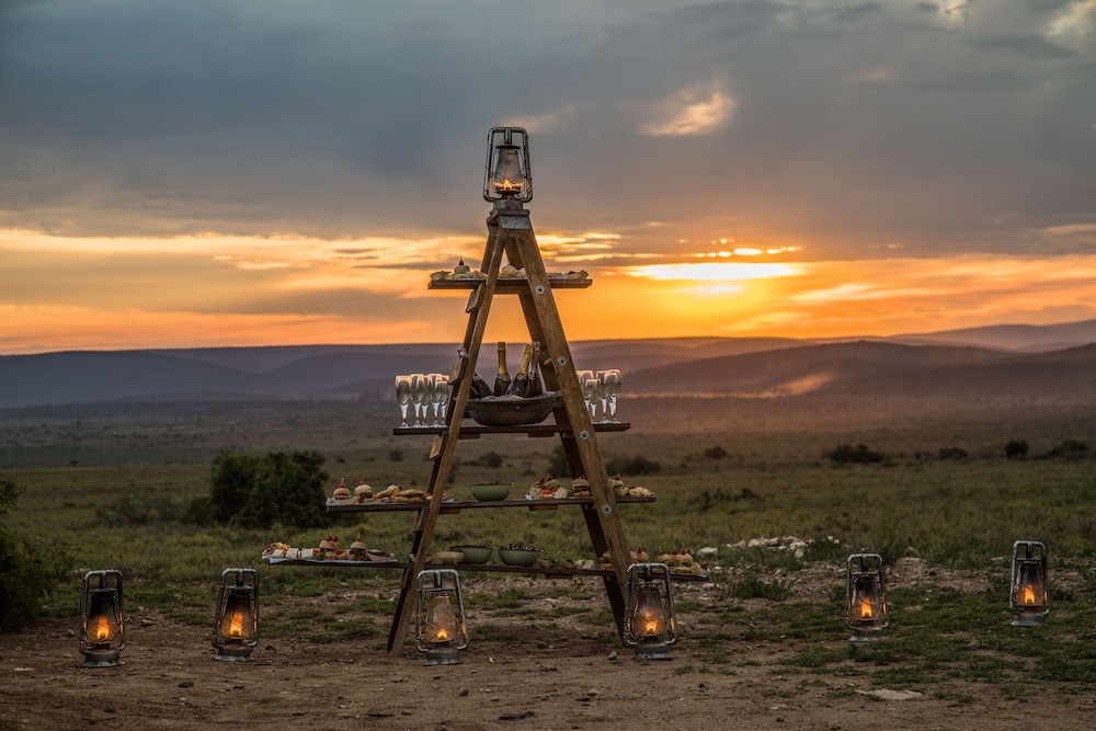 Kwandwe Private Game Reserve 32/50