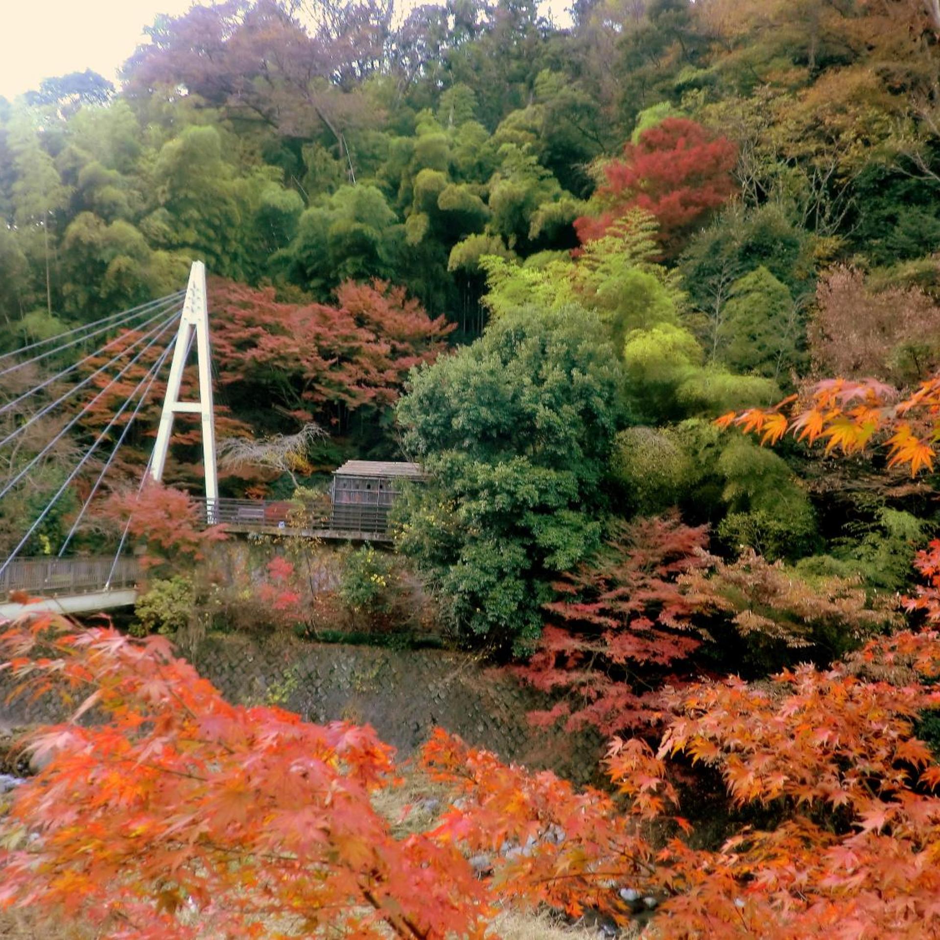 Hakone Tonosawa Onsen Shiunso 46/50