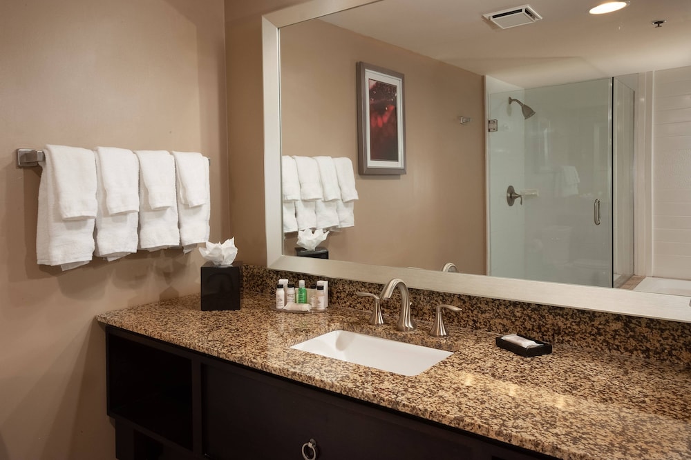Delta Hotels By Marriott Orlando Lake Buena Vista 23/57