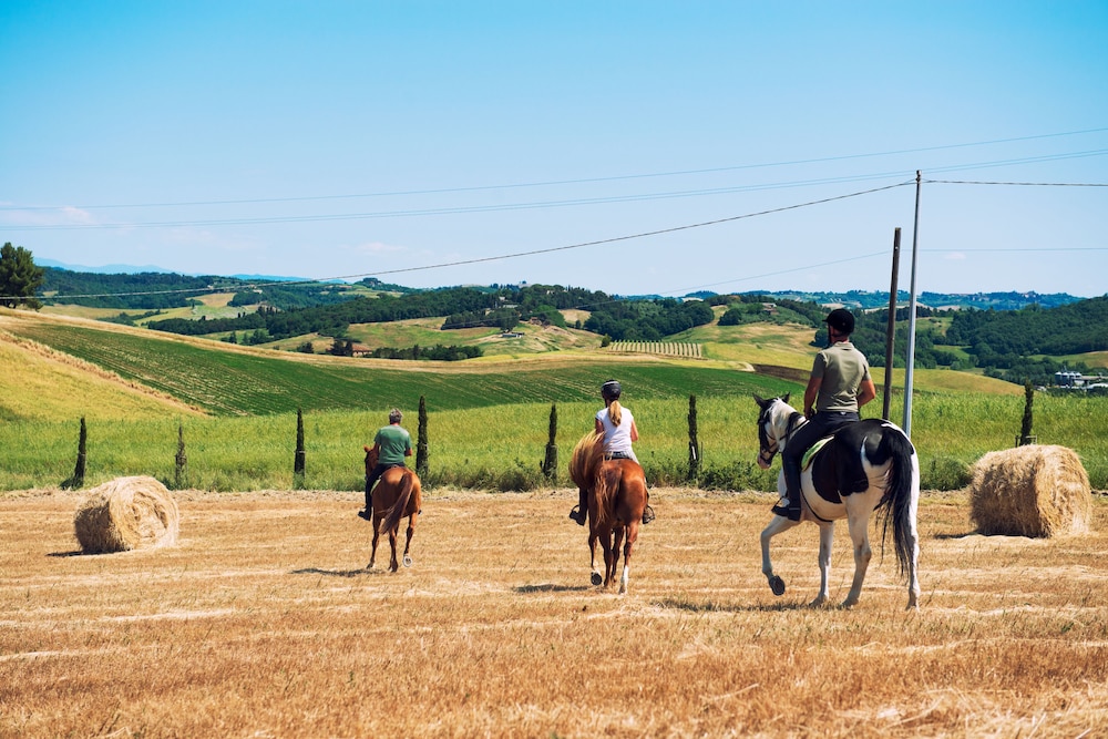 Agriturismo Podere Diacceroni 30/69