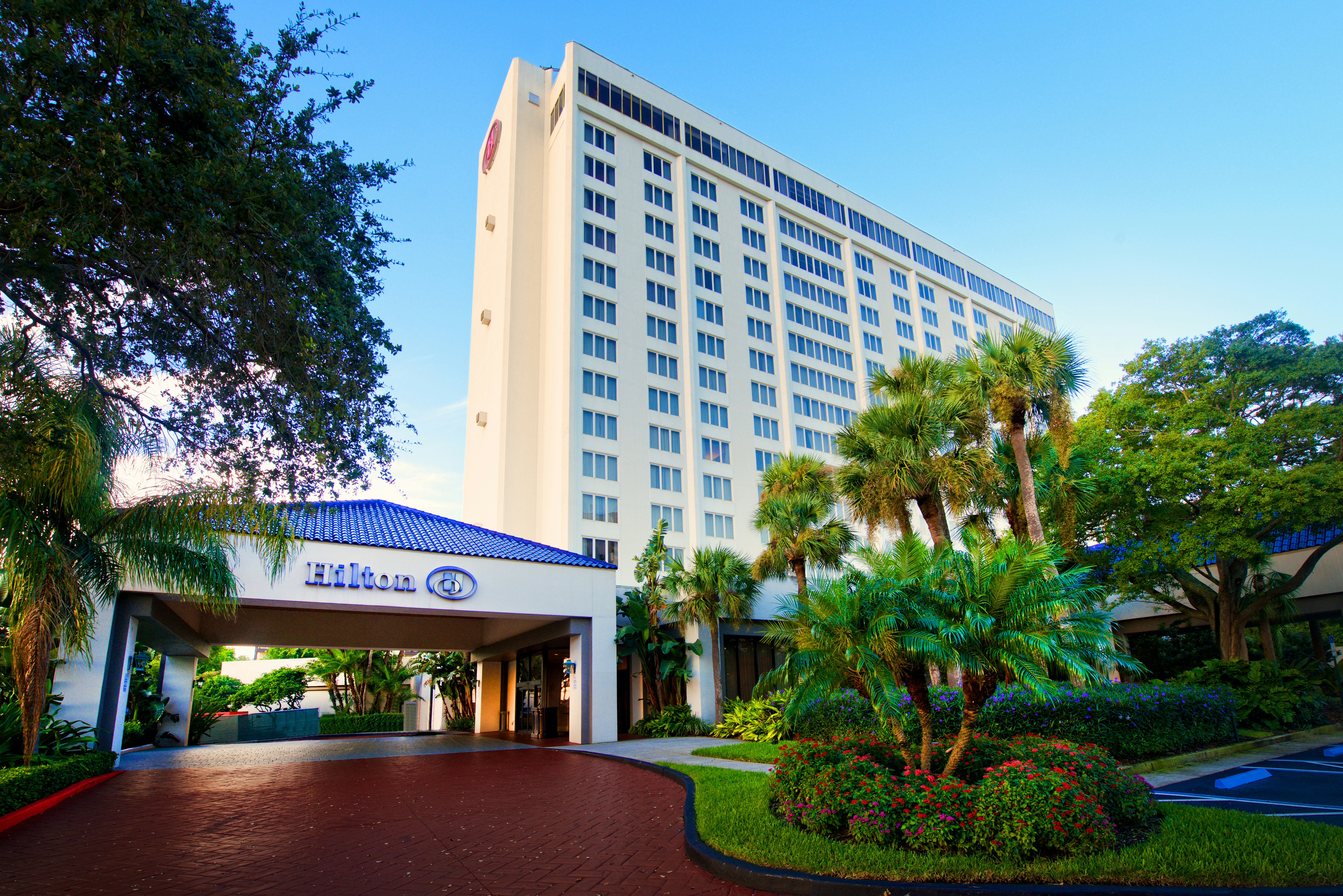 Hilton St Petersburg Bayfront photo5