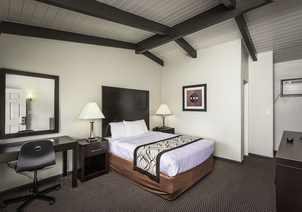 Economy, Queen Bed
