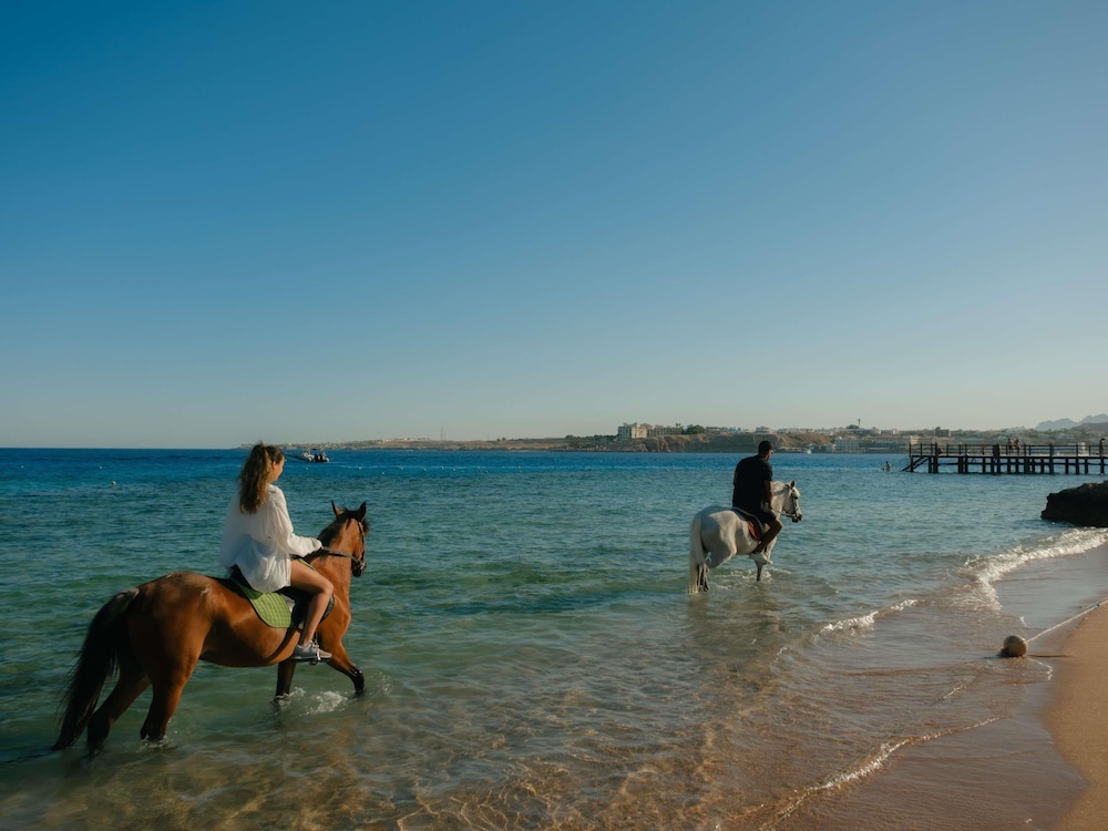 Movenpick Resort Sharm El Sheik Naama Bay 78/82