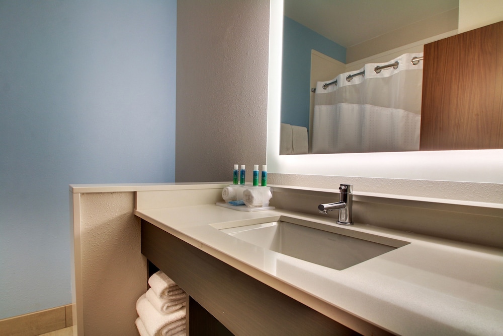 جناح بسرير كينج بحوض استحمام لذوي الإعاقة، Holiday Inn Express & Suites - Summerville 5/5