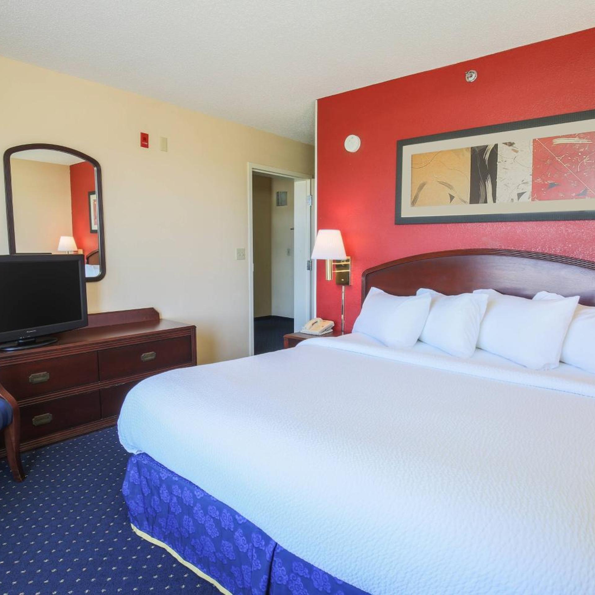 Suite, King Bed