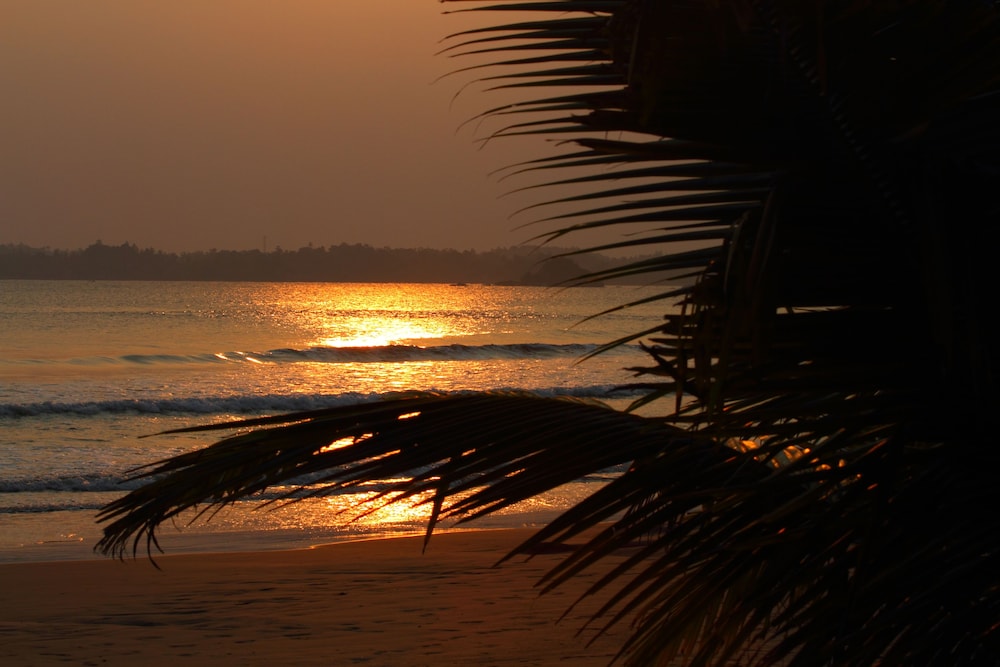 Jaga Bay Resort 43/50