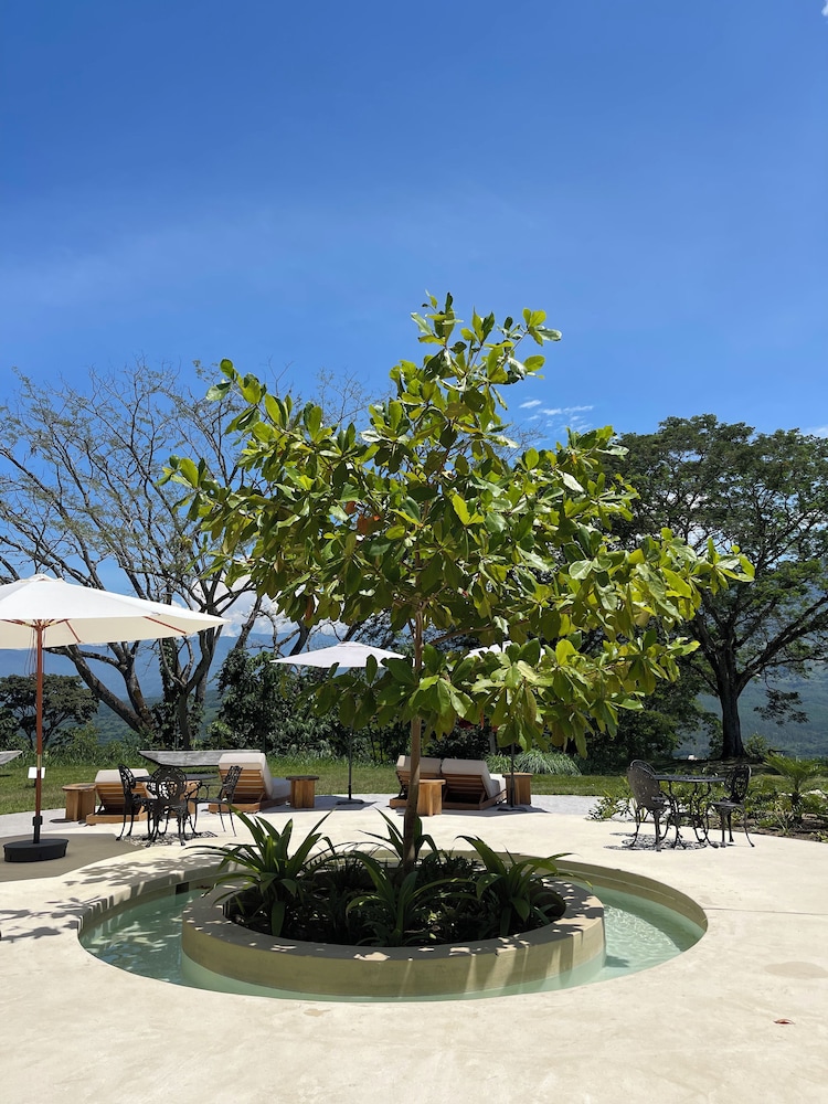 Hotel Tahiti 41/50