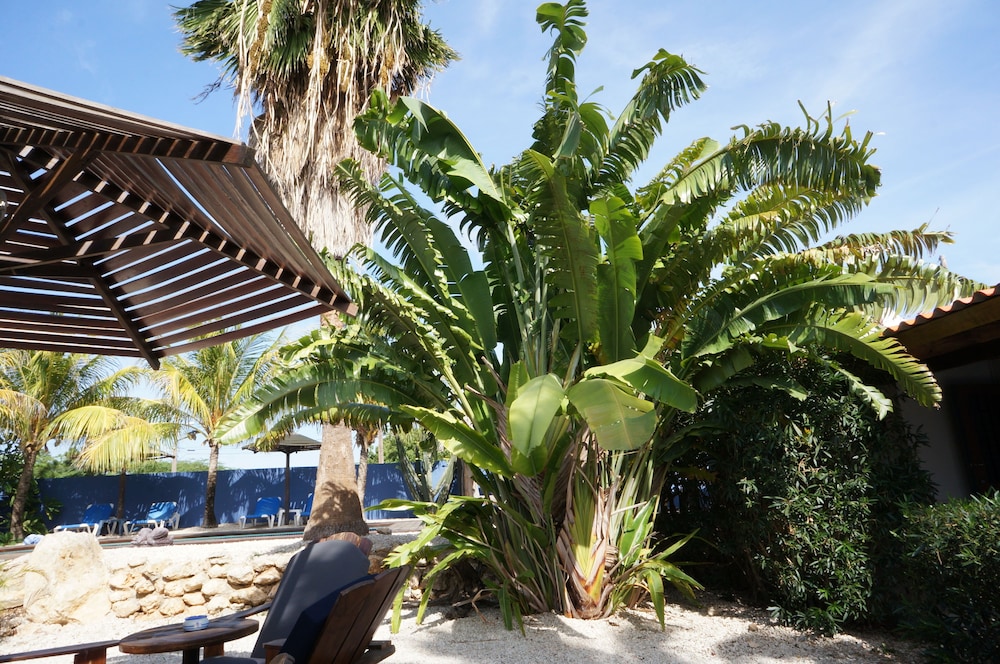 Caribbean Chillout 34/35
