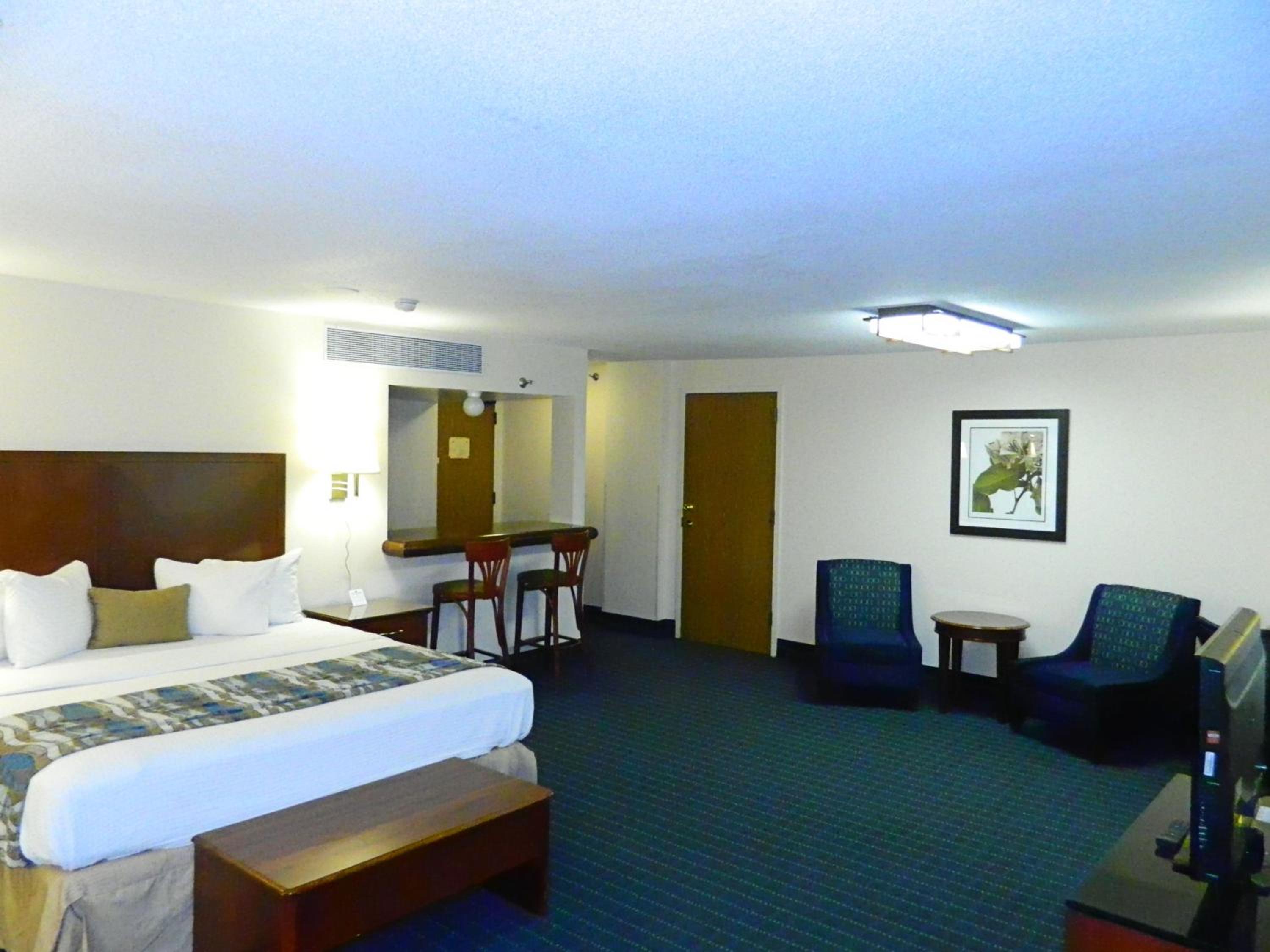 Suite, King Bed
