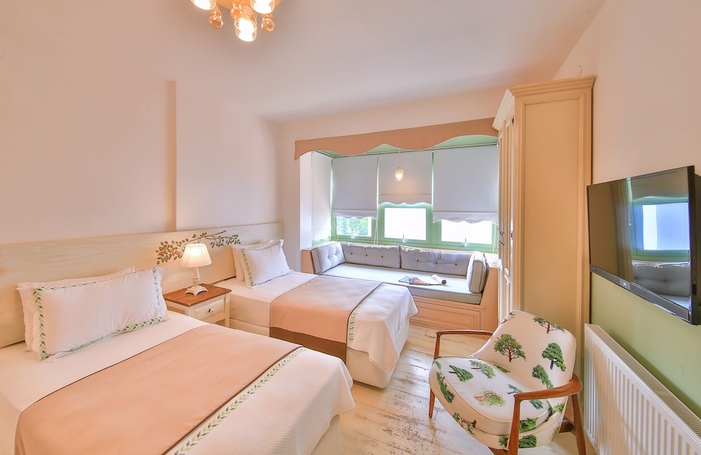 パラス アラチャトゥ(大人専用) 写真5