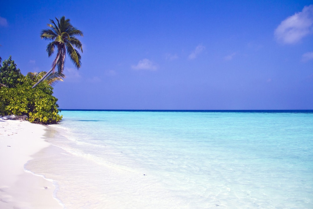 Safari Island Resort 48/58
