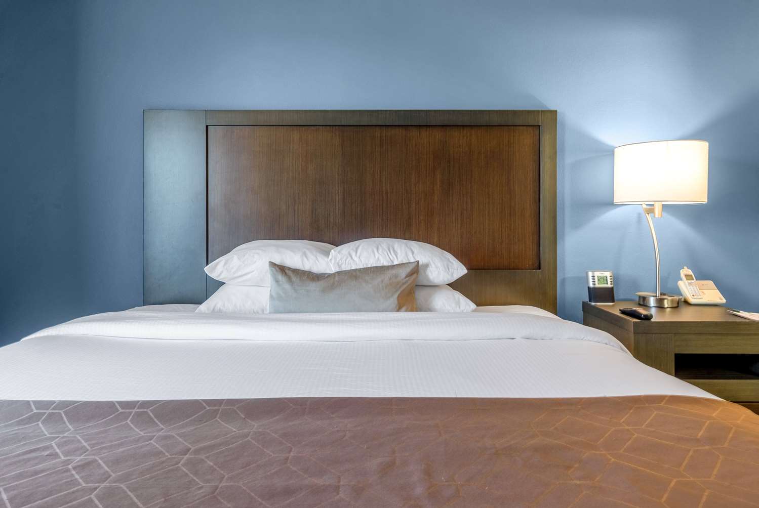 Wingate by Wyndham Schaumburg / Convention Center 37/72
