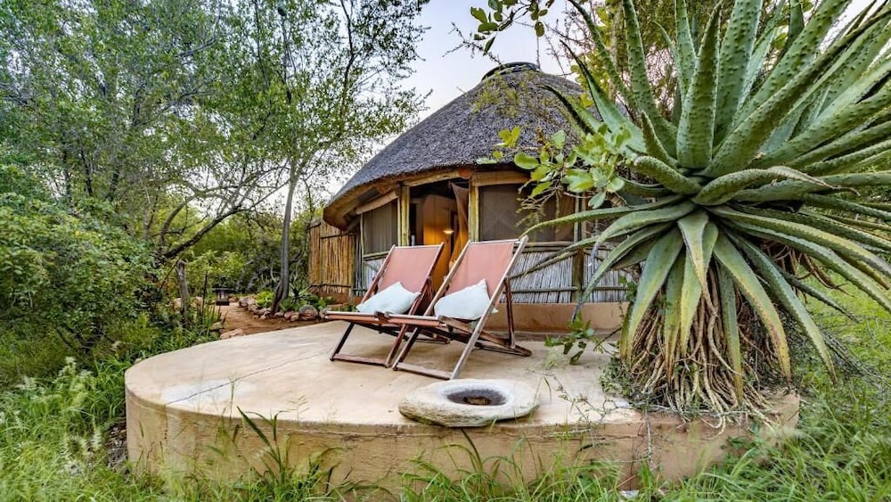 Umlani Bushcamp - Lodge 37/50