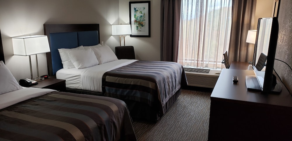 Wingate By Wyndham Christiansburg 18/32