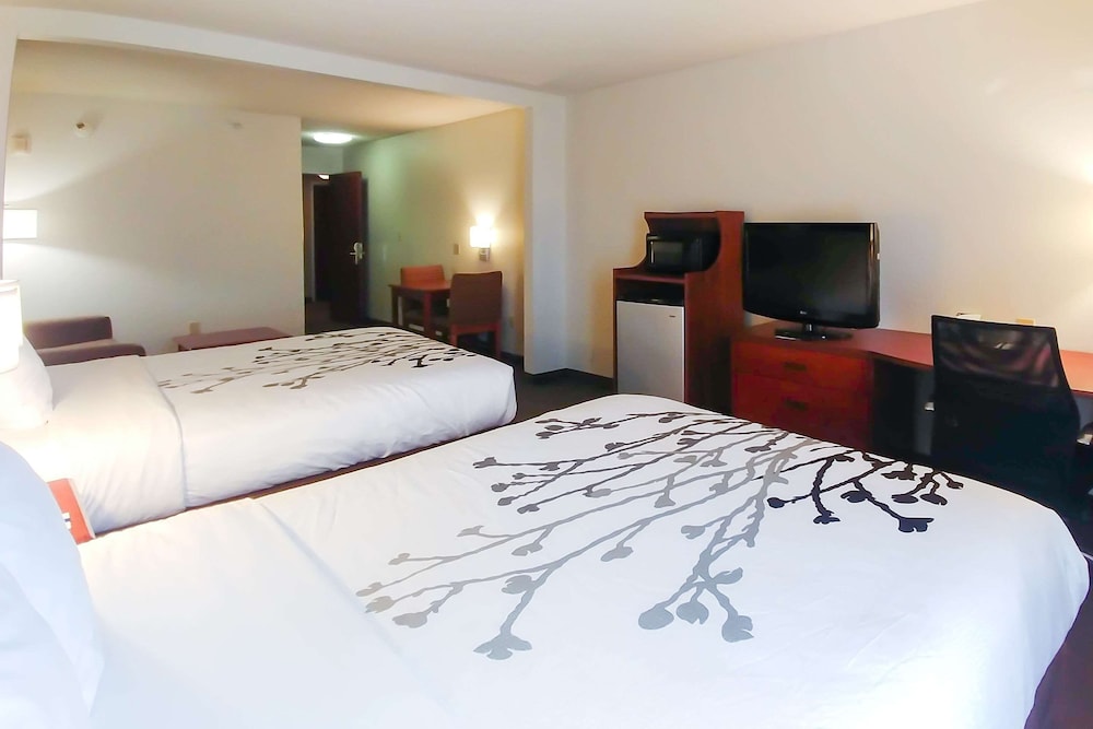 Wingate by Wyndham Dublin Near Claytor Lake State Park 9/38