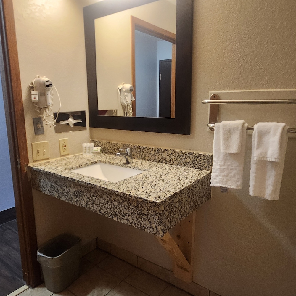 Premier, King Bed, Ramada by Wyndham Cedar Rapids South 2/3