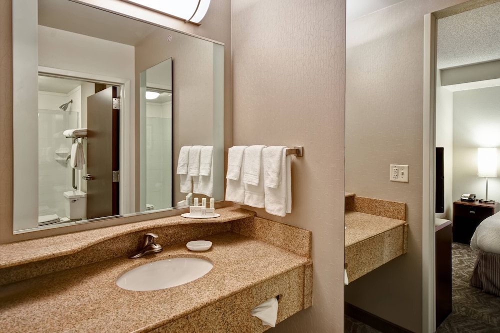 Springhill Suites by Marriott Louisville Airport 9/48
