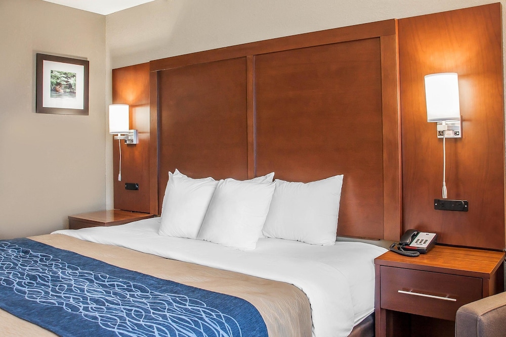 Standard, King Bed