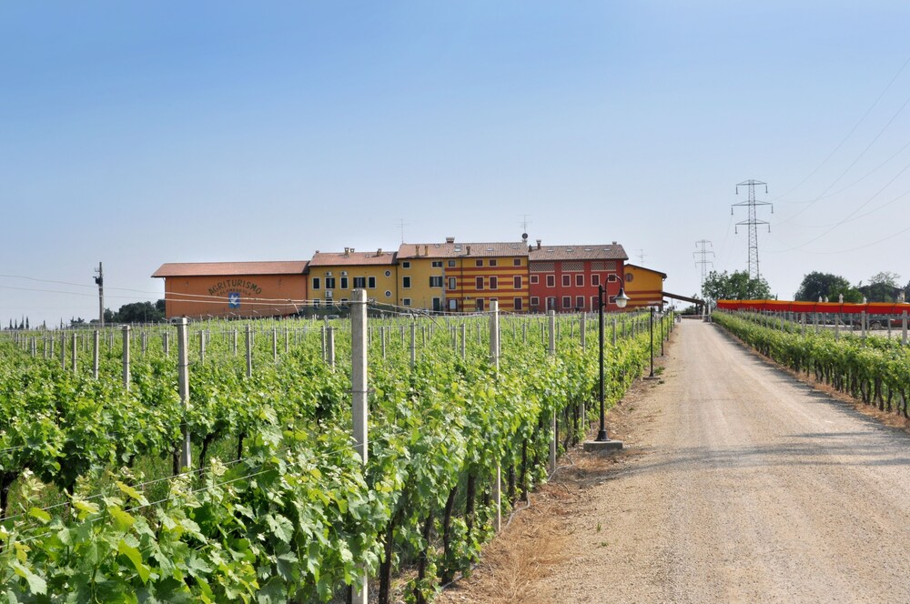 Agriturismo Dei Grippi 66/74