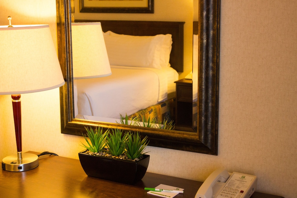 Holiday Inn Hotel & Suites West Edmonton 29/62