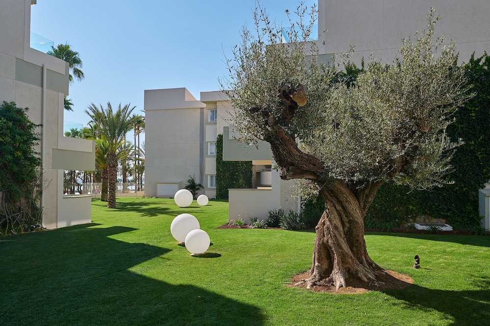 Hipotels Mediterraneo Club 58/63