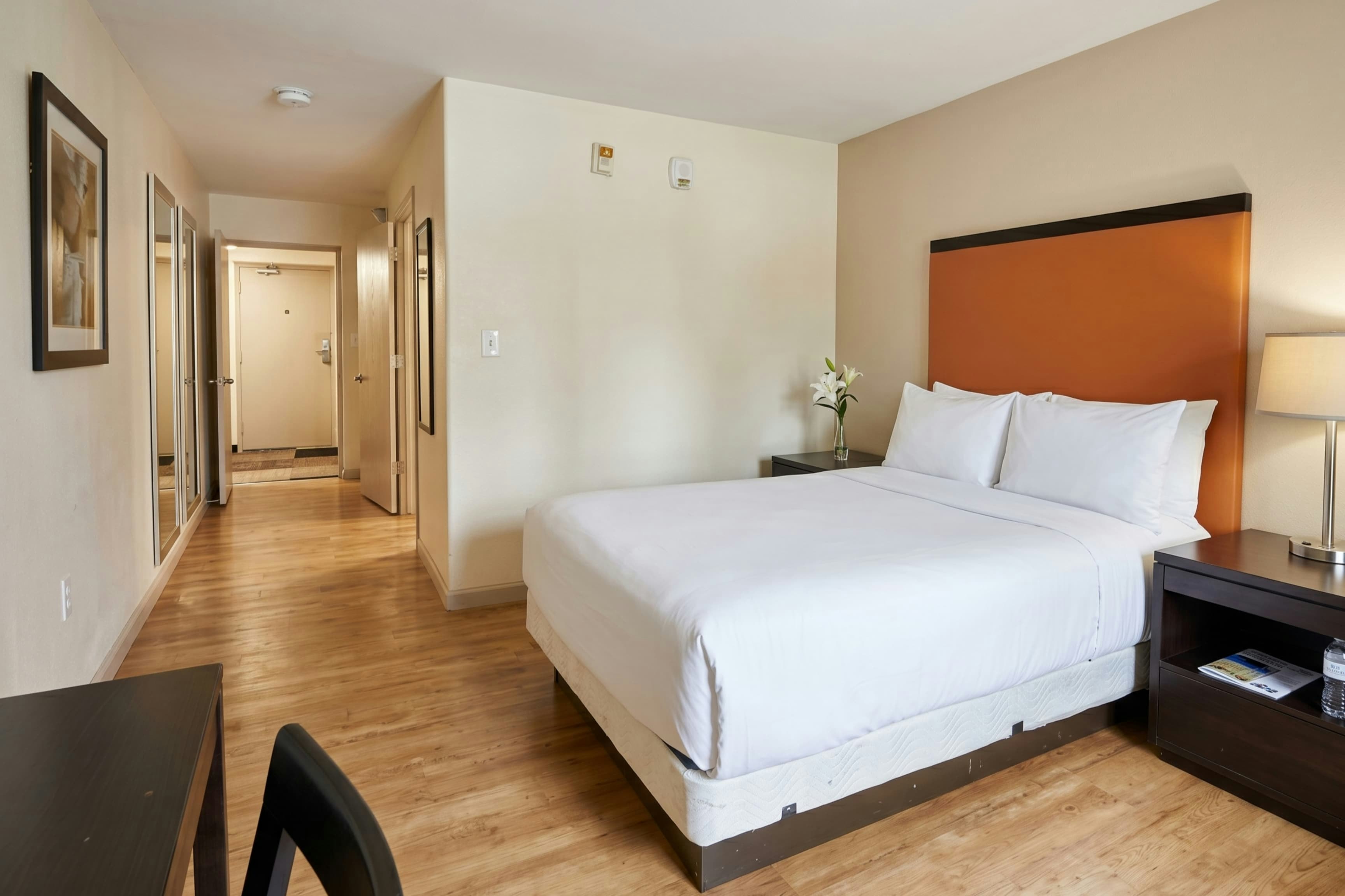 University Inn of Carbondale by Hotel O 18/49