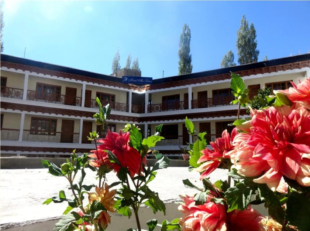 Hotel Abu Palace 10/49