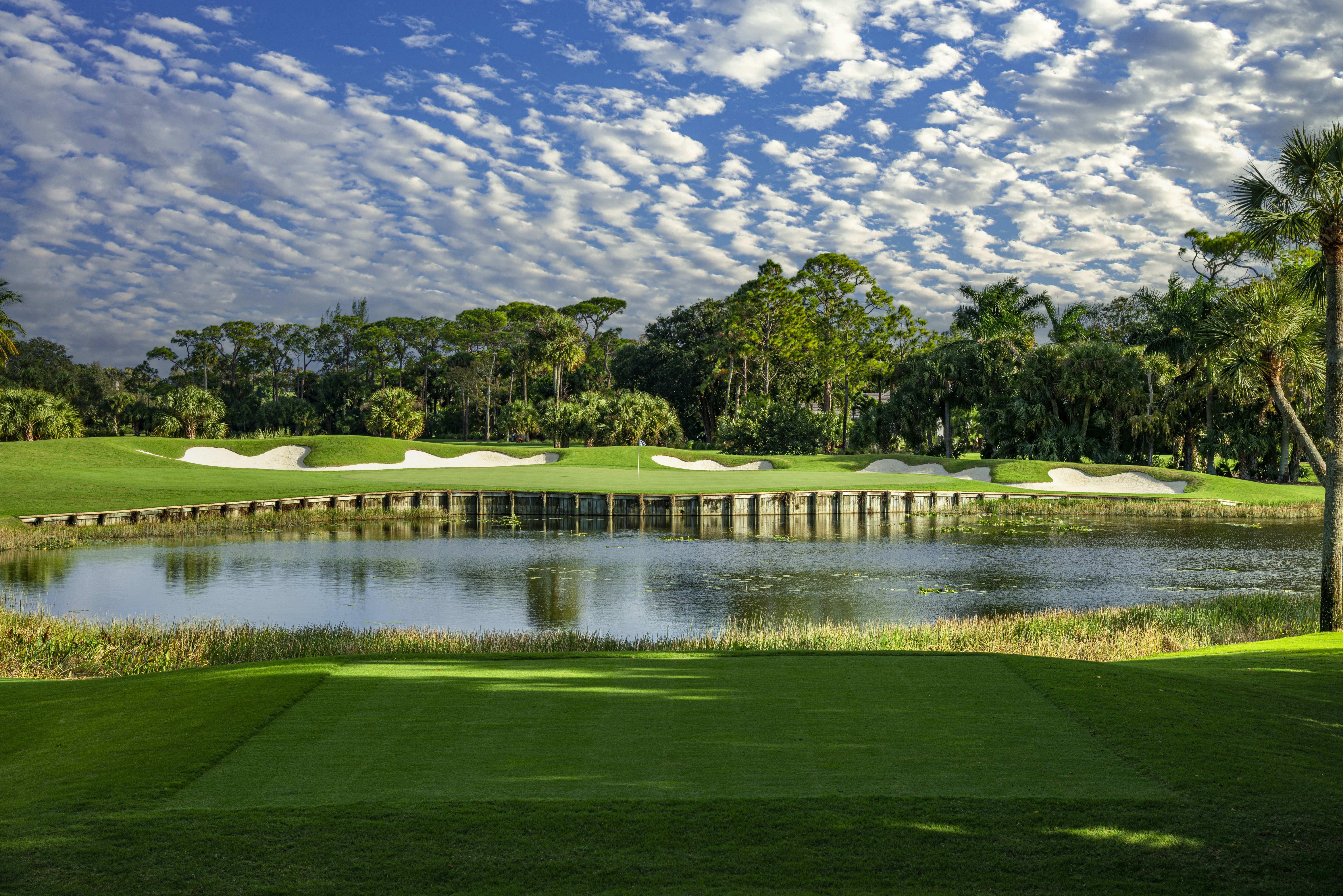 The Breakers Palm Beach 46/50
