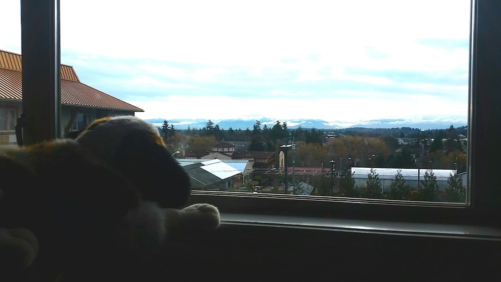 Elk Lake Inn Suites Victoria 30/81