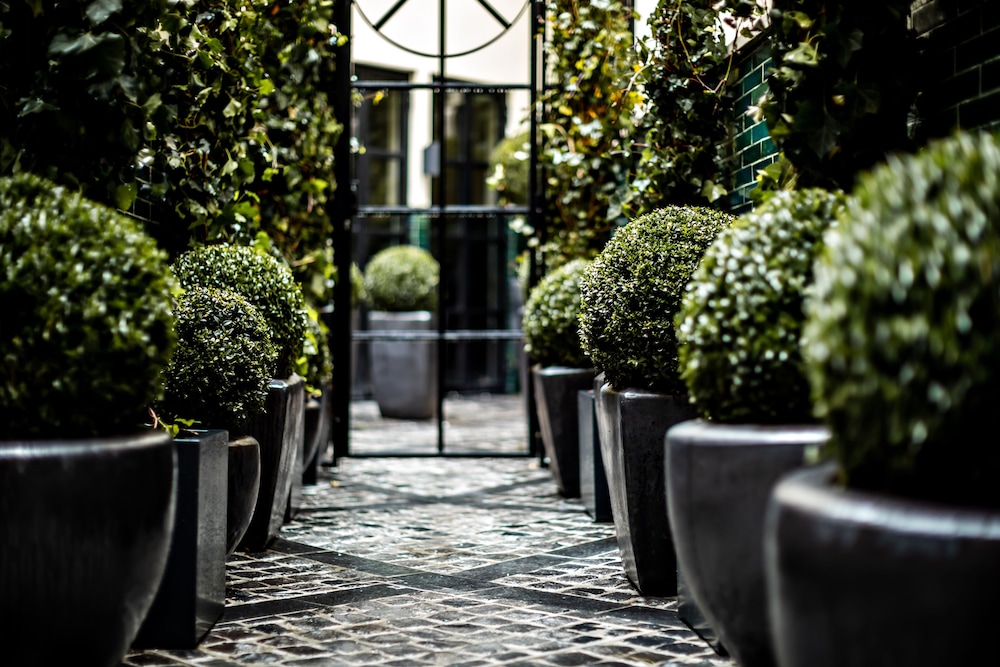 Monsieur George-Champs Elysees 40/57
