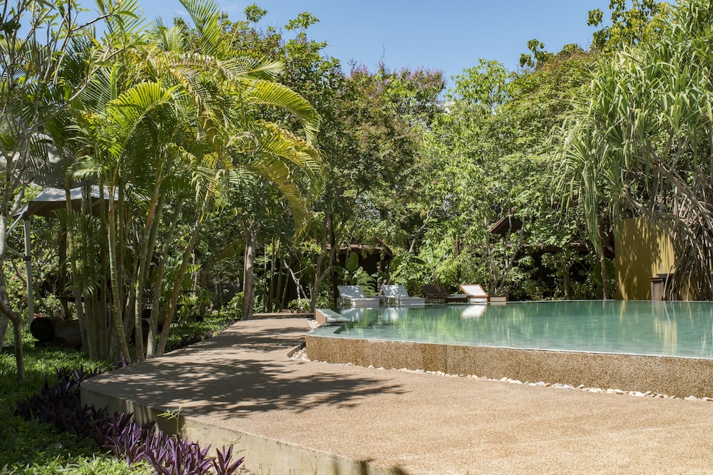 Palm Village Resort Spa 33/50