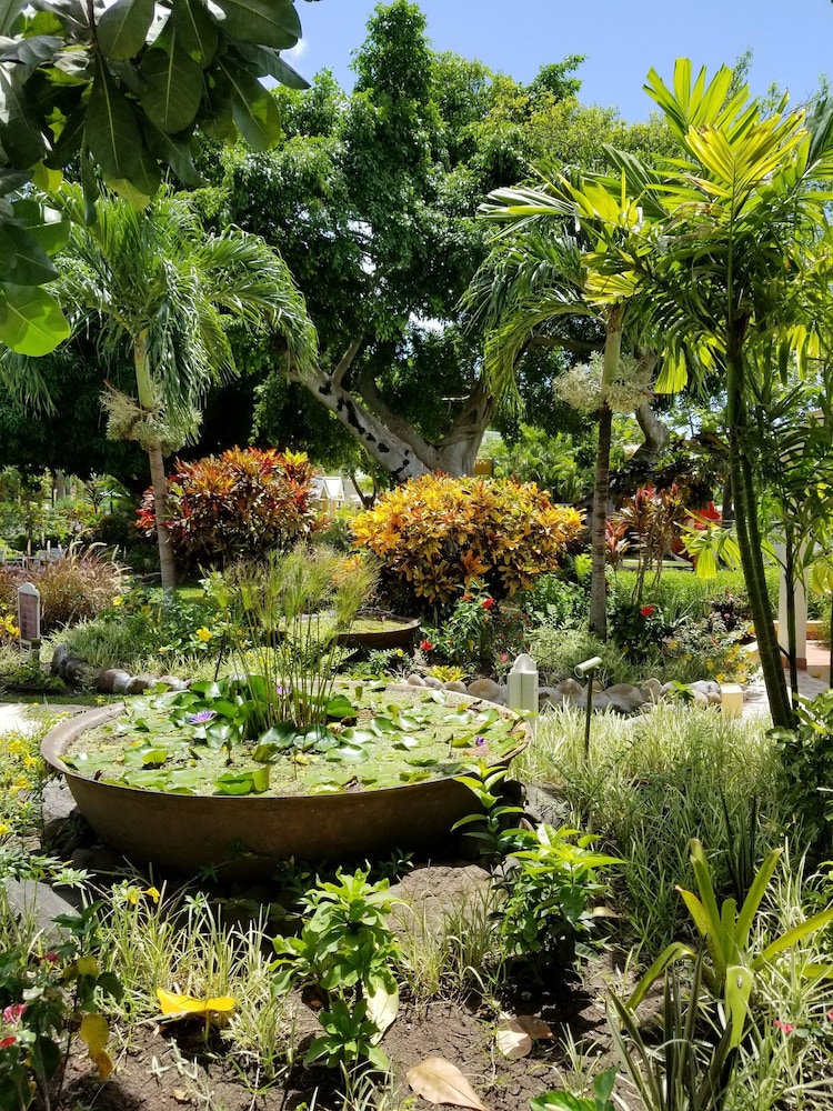 BLUE HORIZONS GARDEN RESORT 36/43
