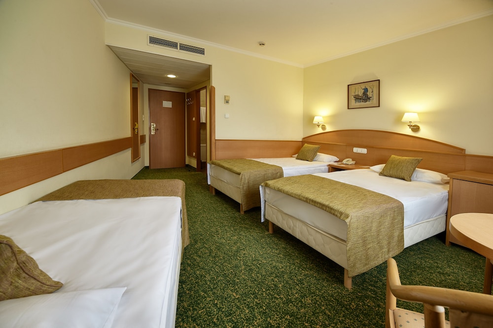 Hotel Erzsebet City Center 25/57