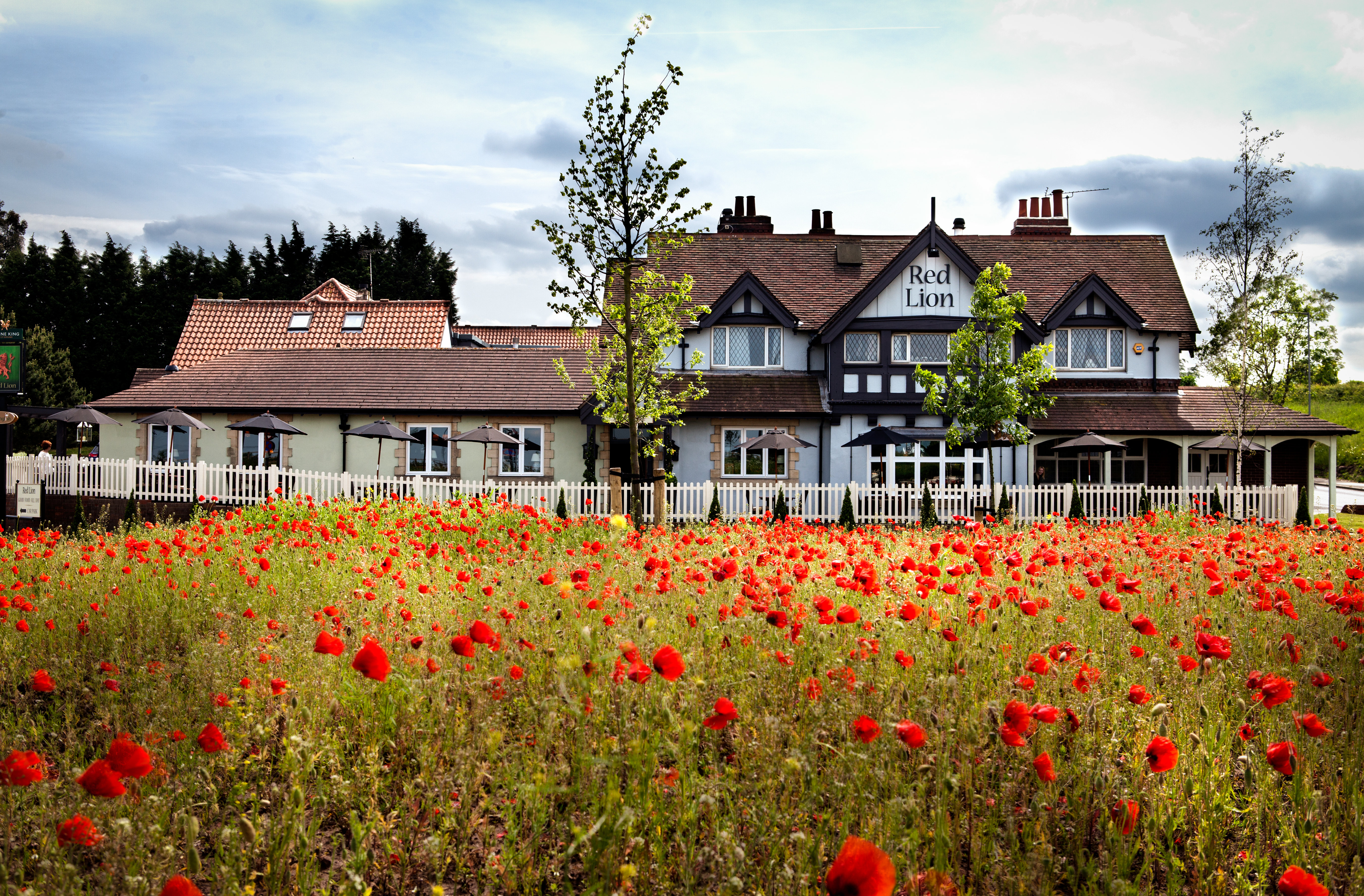 The Red Lion 40/46