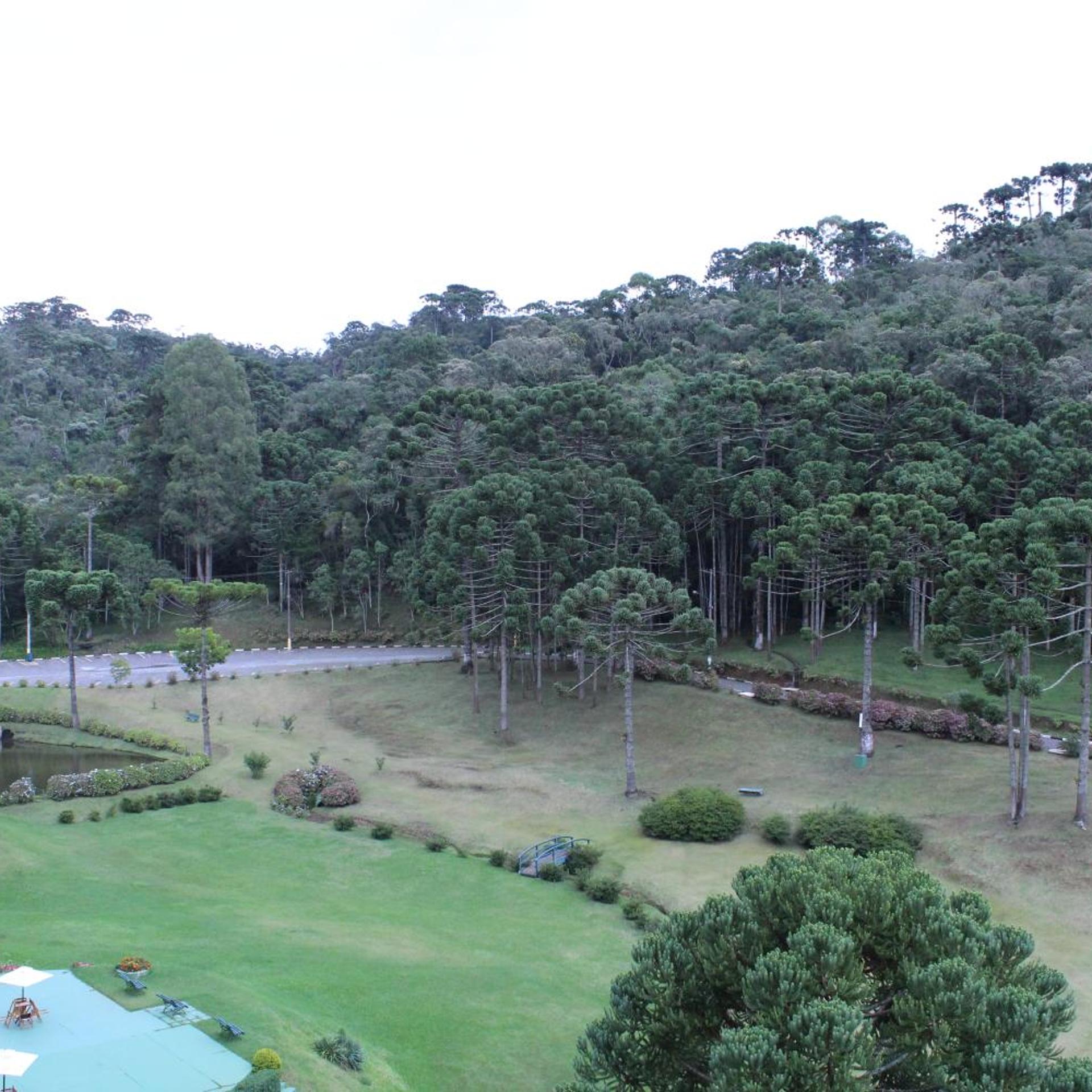 Satelite Campos do Jordao 41/50