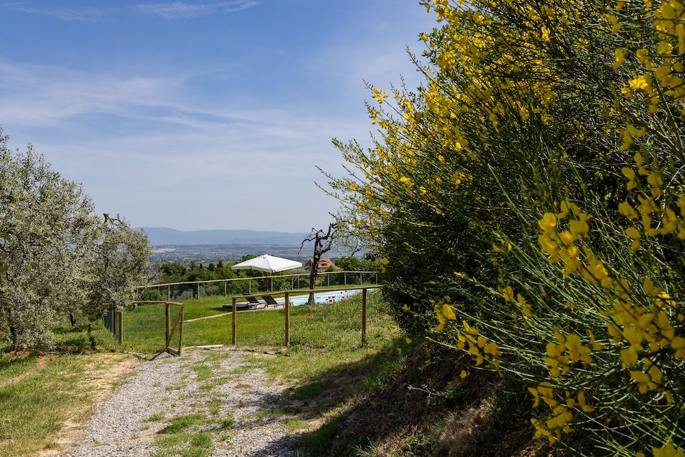 B&B Fonteroncone 16/27