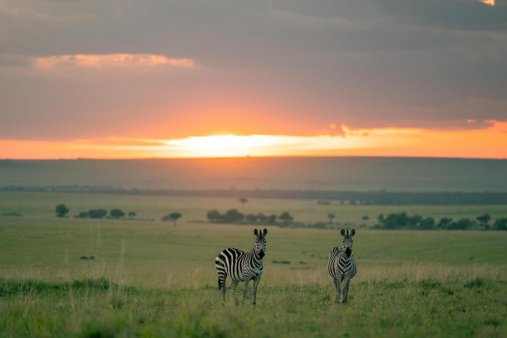 OLARE MARA KEMPINSKI MASAI MARA 45/50