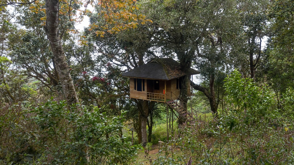 Nature Zone Resort 37/42