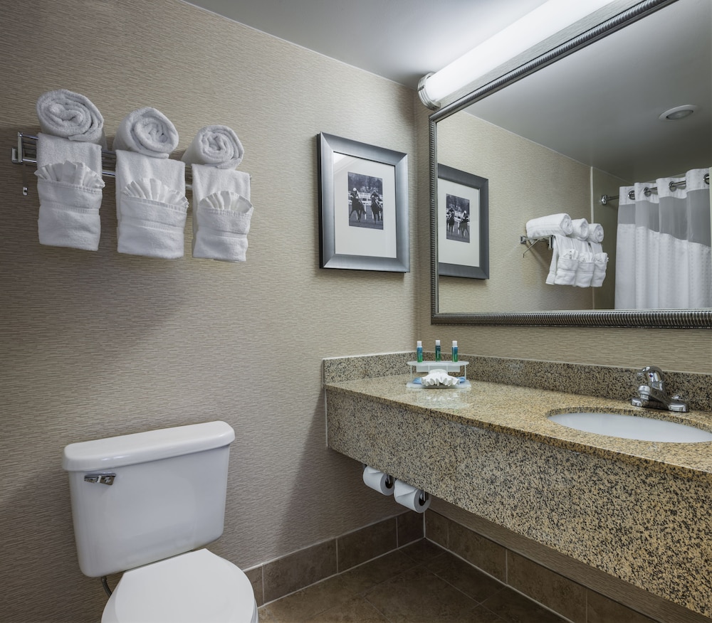 Holiday Inn Express Suites Laurel Lakes 14/58