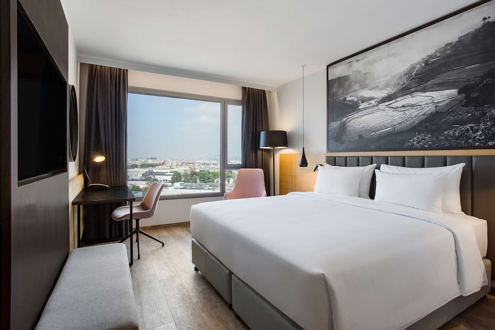 Radisson Blu Hotel Antananarivo Waterfront 15/50