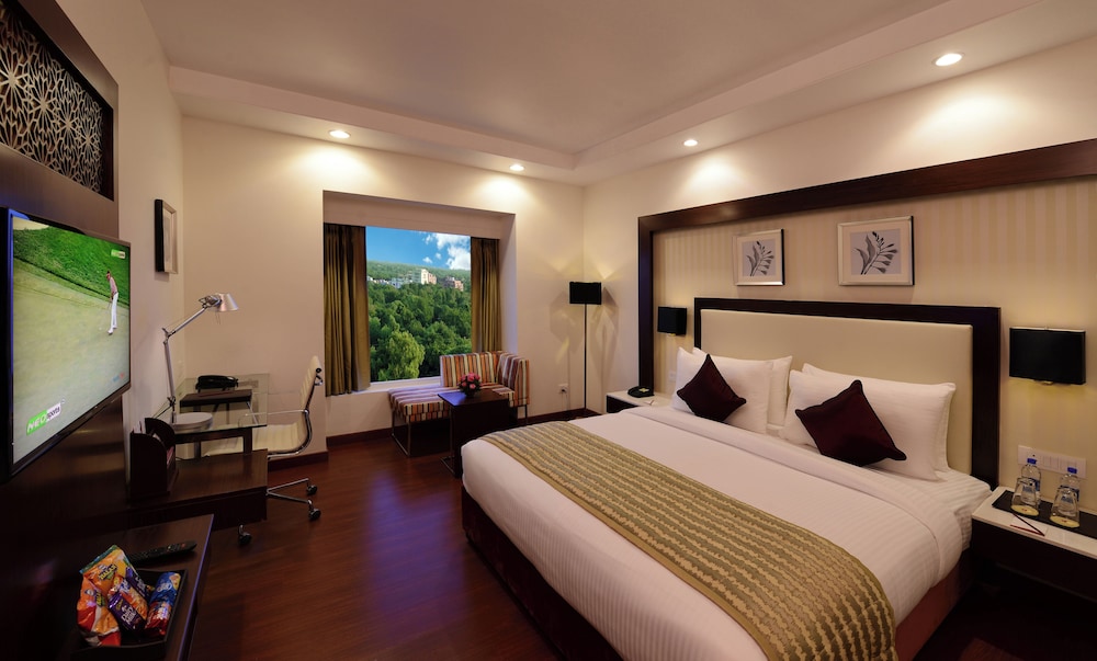 Lords Inn Jodhpur 9/39