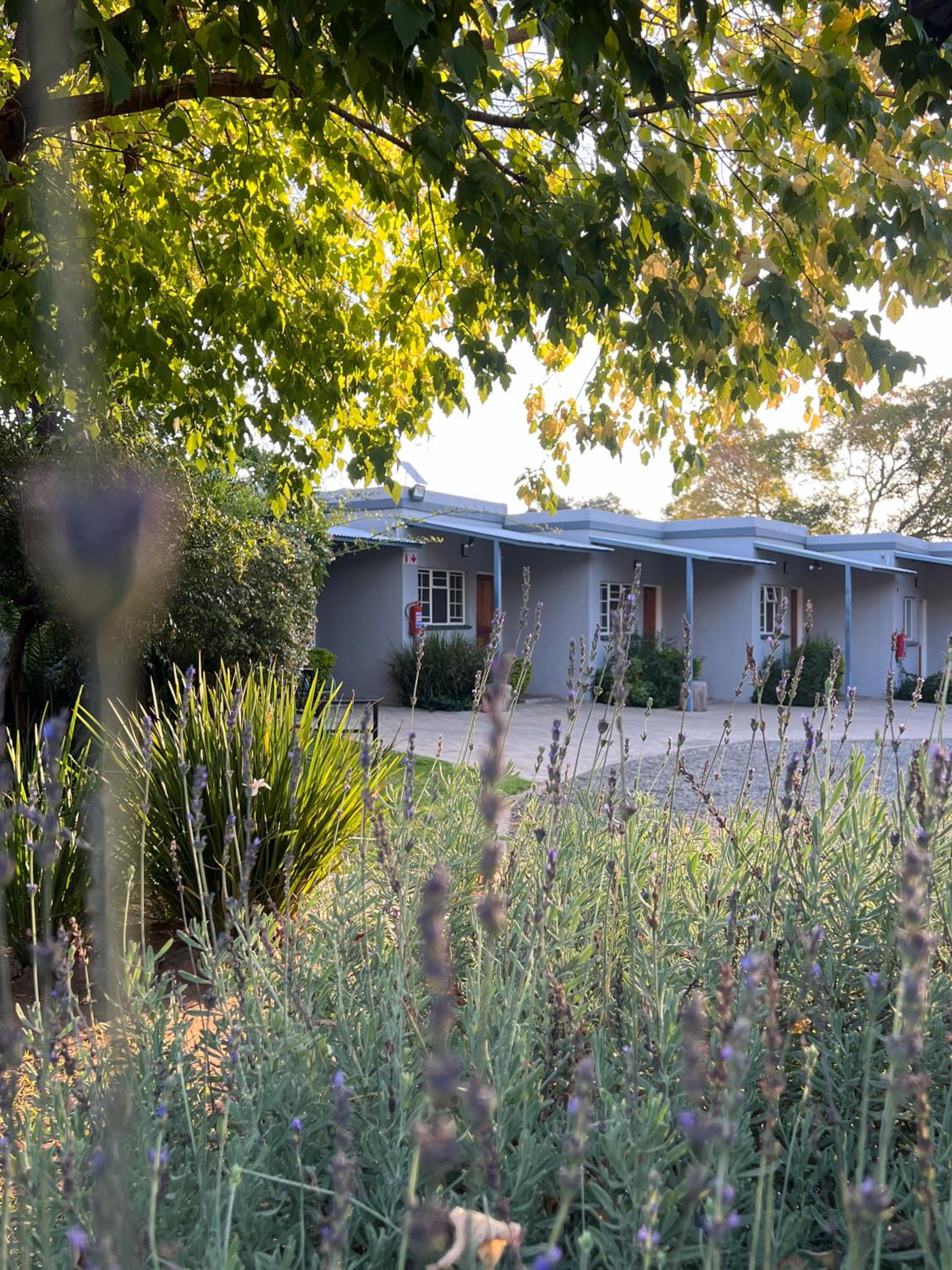 Patterson B&B 16/21