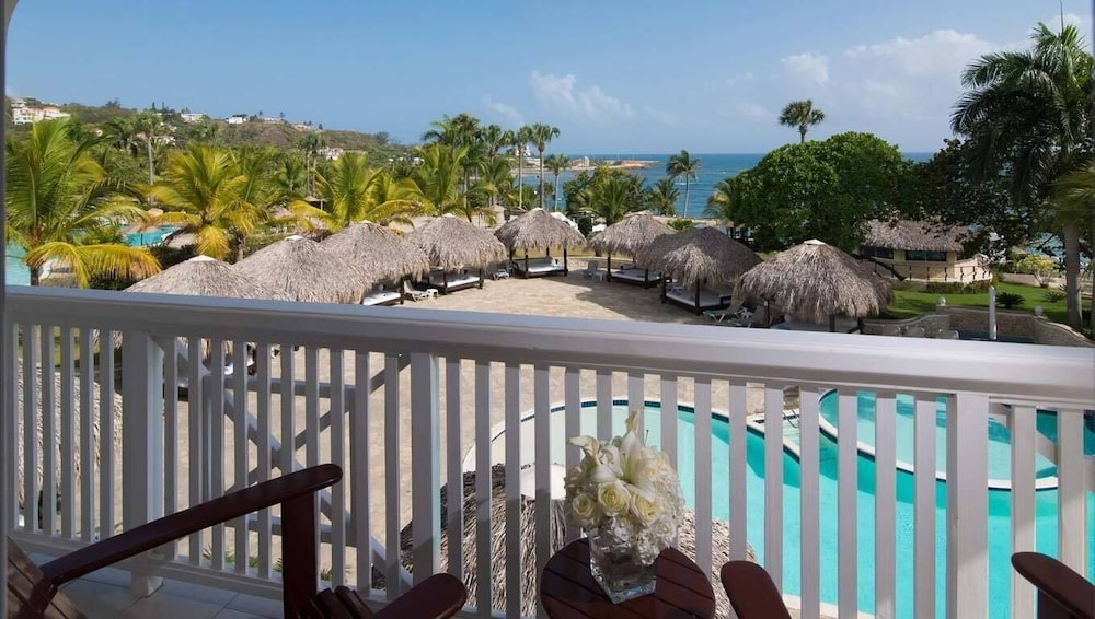 Cofresi Palm Beach and Spa Resort All Inclusive in PUERTO PLATA