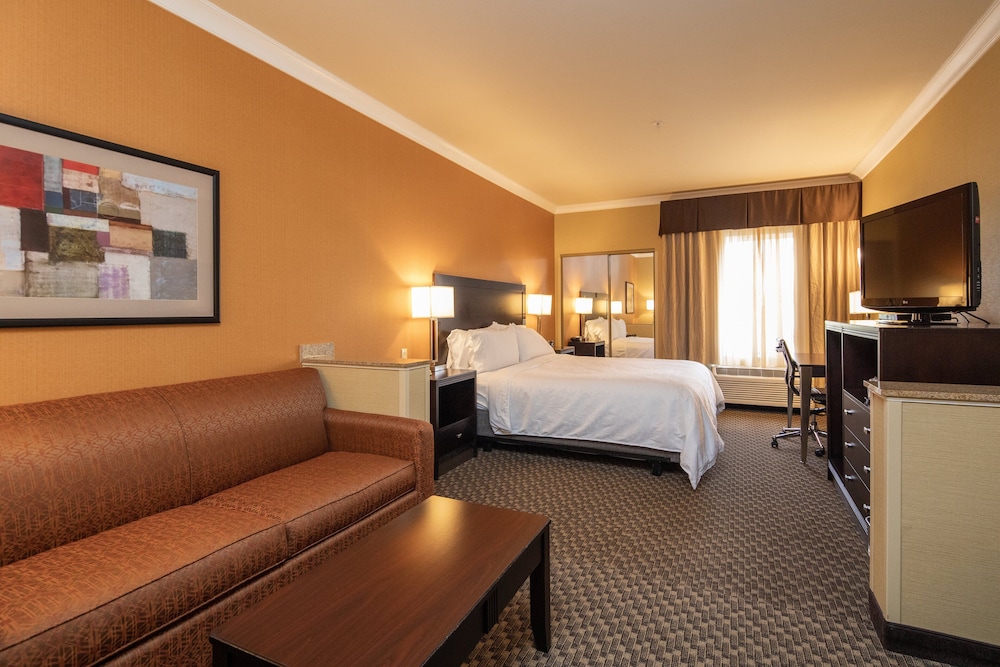 Holiday Inn Express Castro Valley 17/71