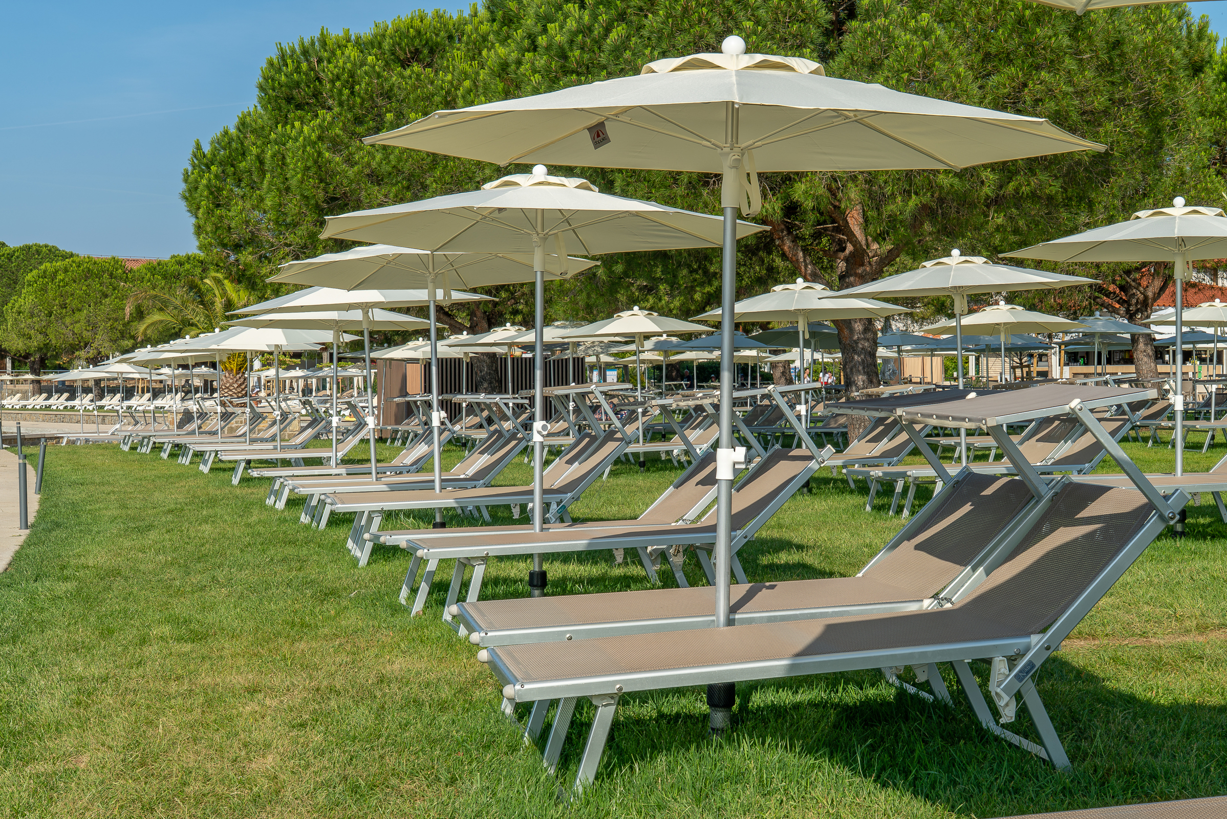 Hotel Vile Park Premium 45/50