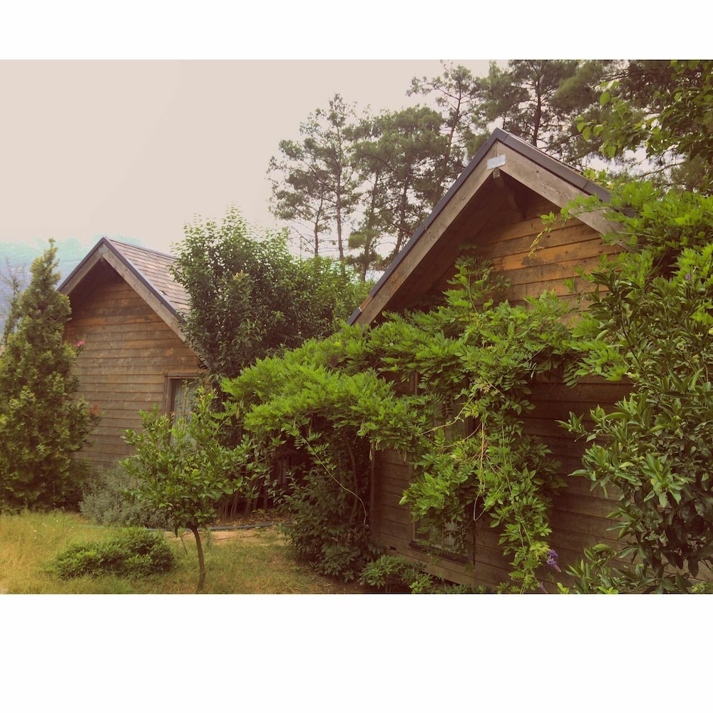 Olympos Village Hotel photo3