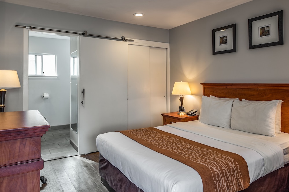 STANDARD, QUEEN BED