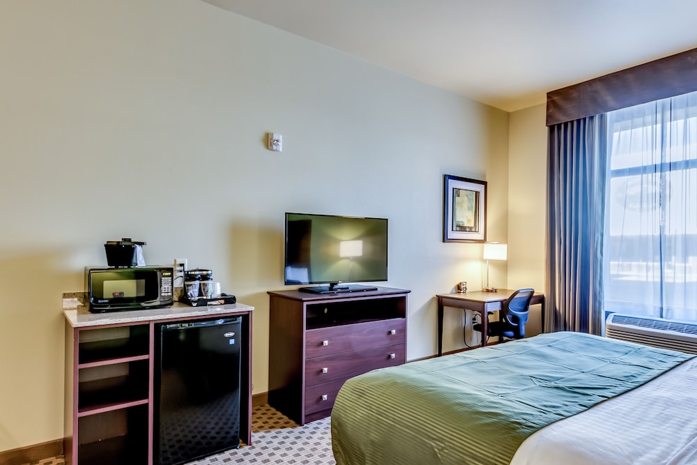 Cobblestone Inn Amp Suites Waverly 13/61
