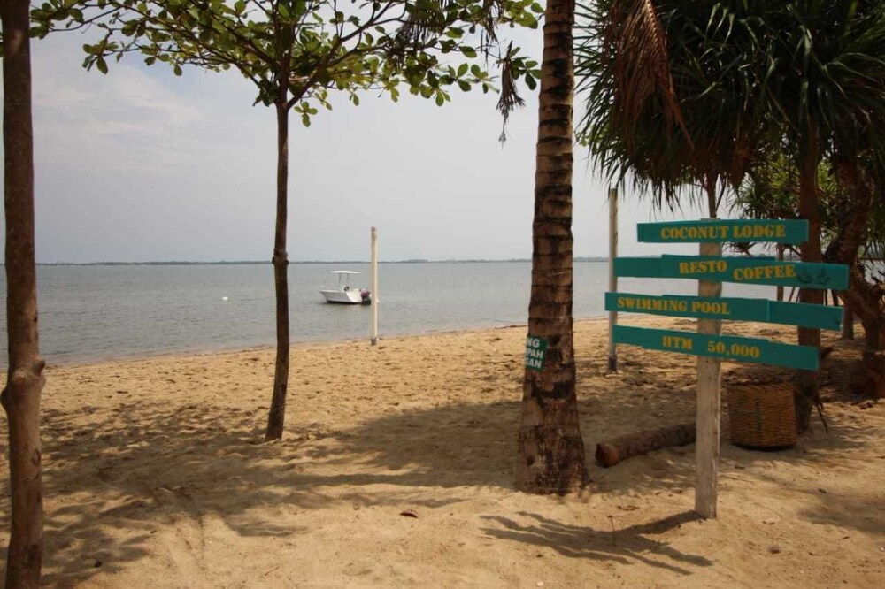 Coconut Lodge 32/50